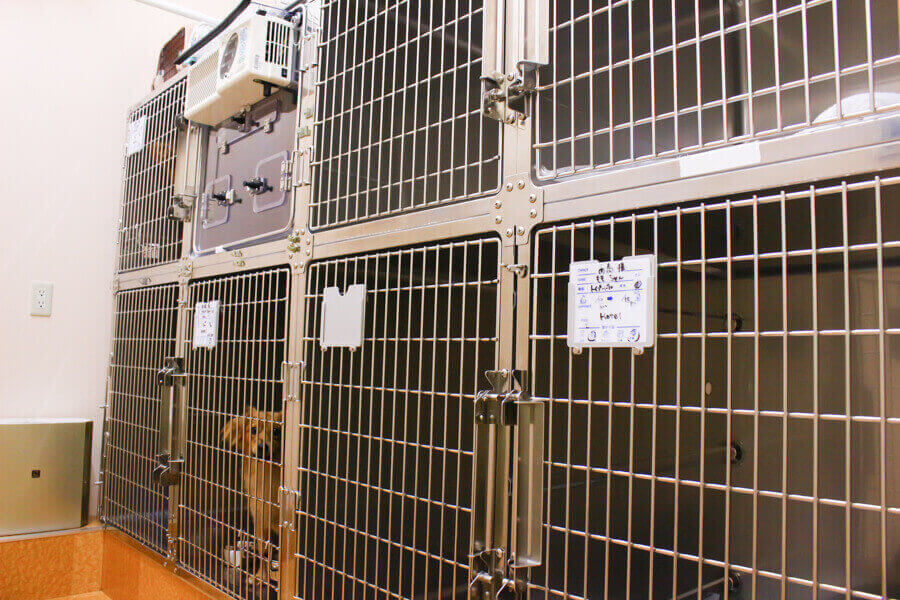 東いわつき動物病院_こだわり_3