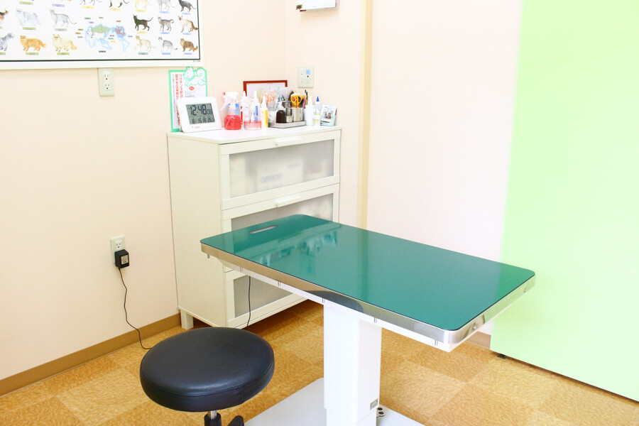 東いわつき動物病院_1