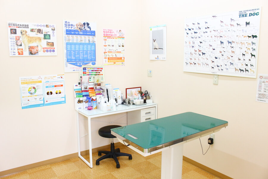 東いわつき動物病院_こだわり_1