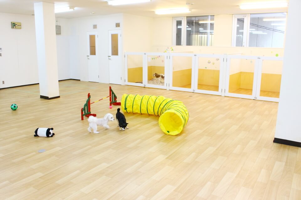 アニファ動物病院 柏病院_こだわり_2