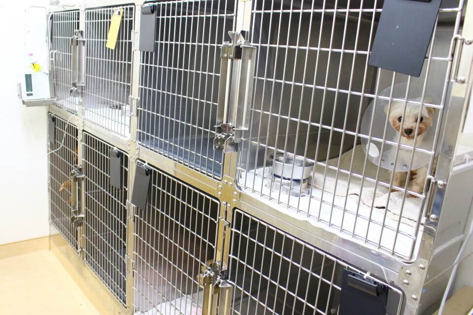 アニファ動物病院 柏病院_3