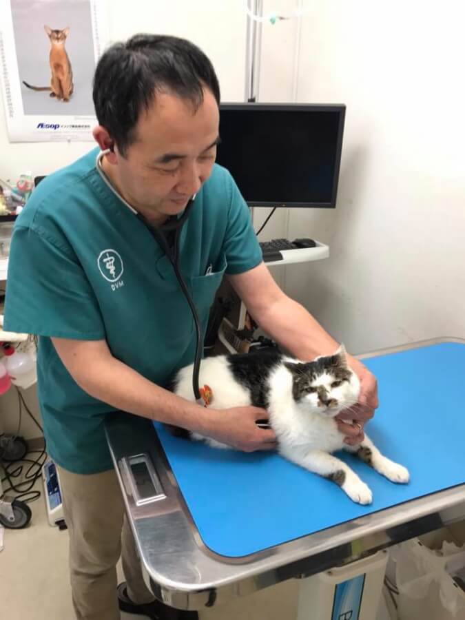 とちのき動物病院_6