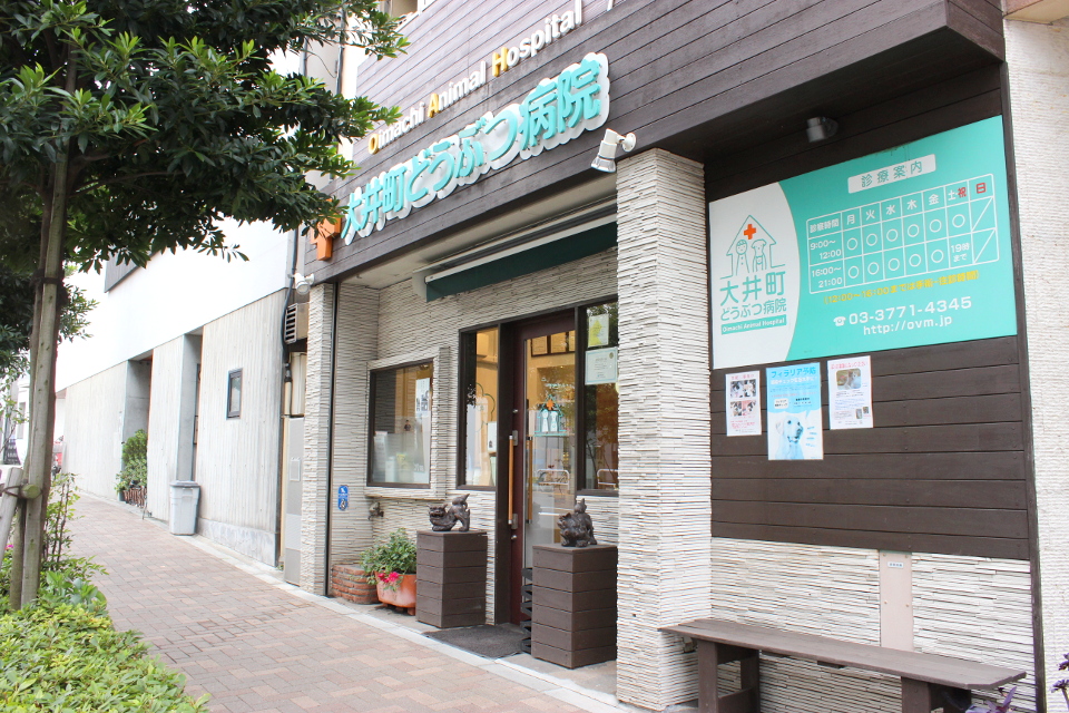 大井町どうぶつ病院_1