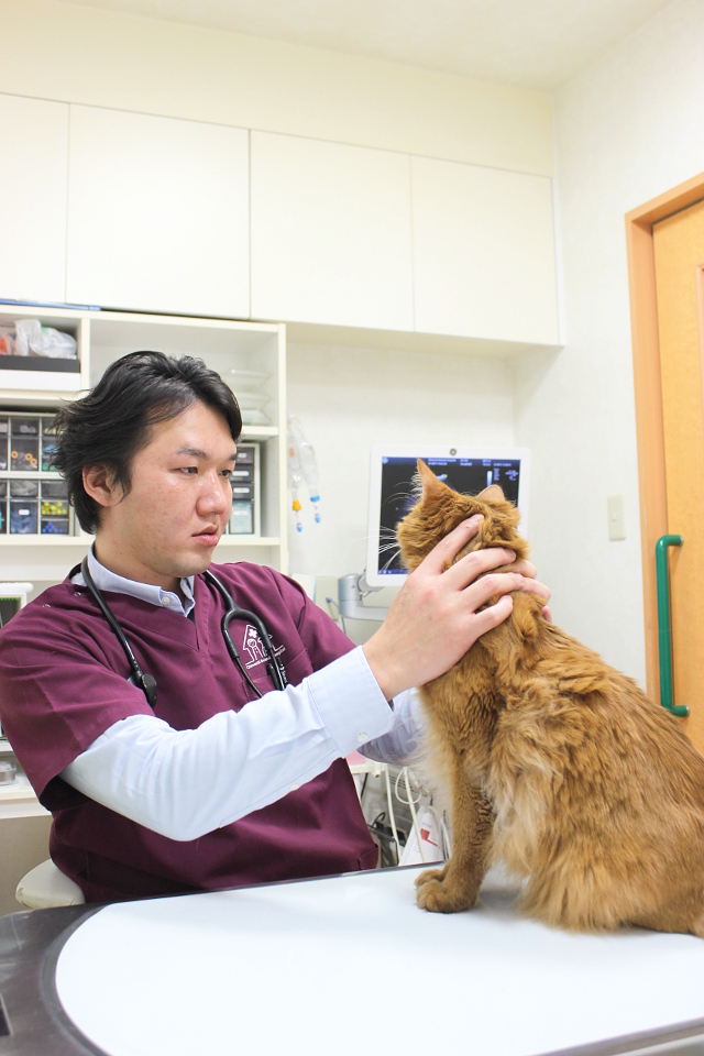 大井町どうぶつ病院_10