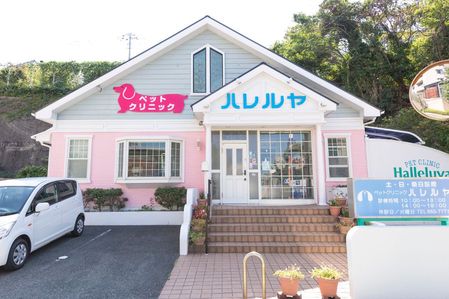 ペットクリニックハレルヤ 愛宕病院_こだわり_3
