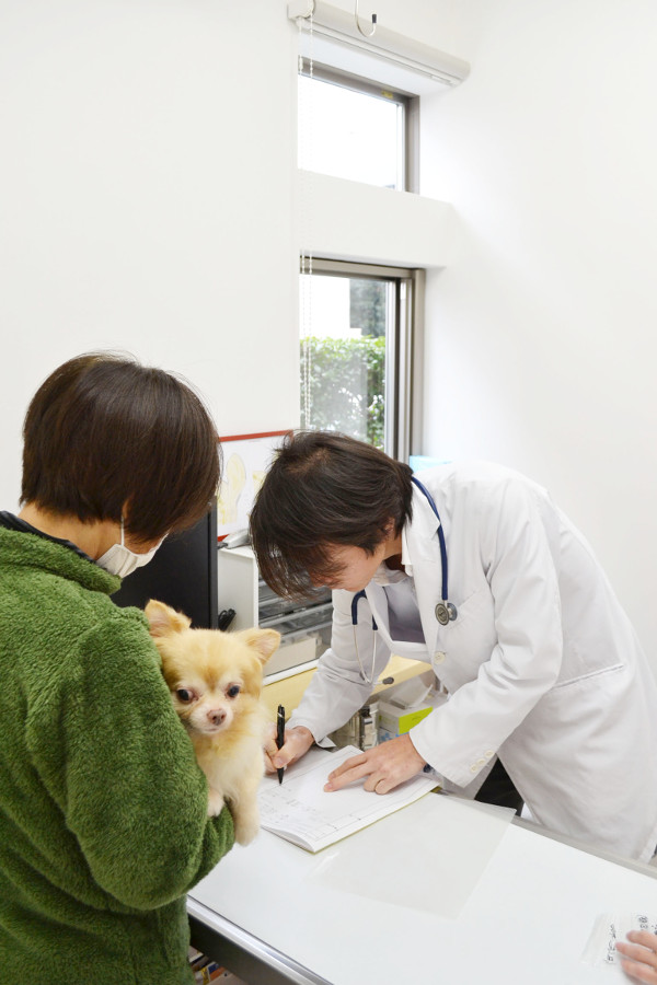 若久動物病院_12