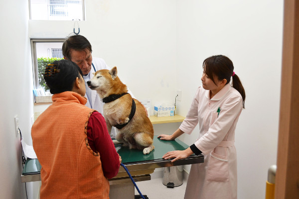 若久動物病院_14