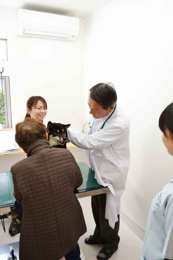 若久動物病院_13
