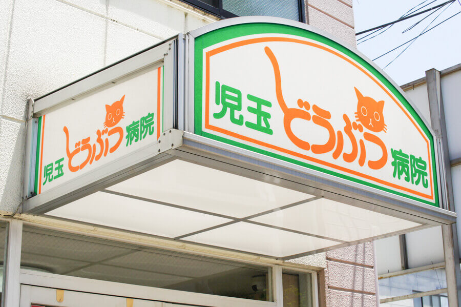 児玉どうぶつ病院_16