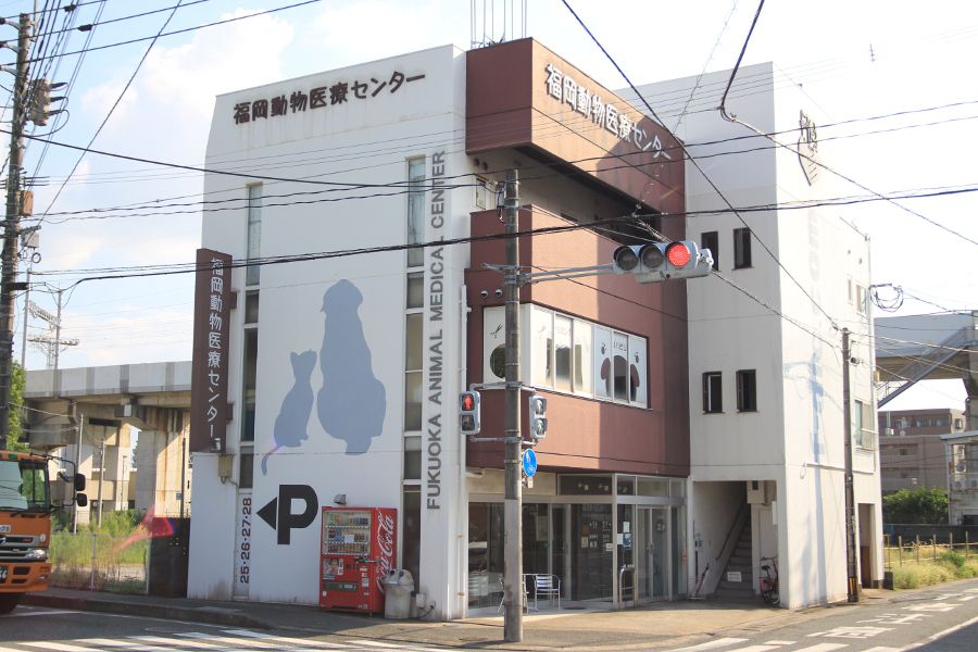 福岡動物医療センター_16