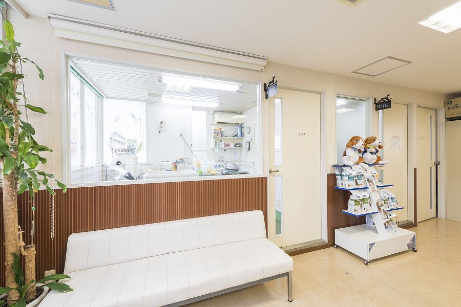 福岡動物医療センター_17