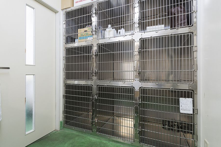 福岡動物医療センター_23