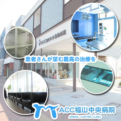 ACC福山動物医療センター