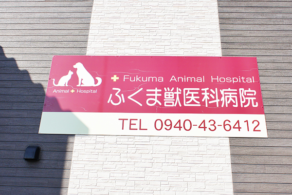 ふくま獣医科病院_6