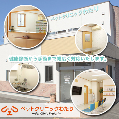 ペットクリニックわたり