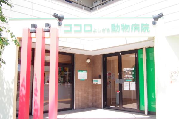 ココロよしざき動物病院_7