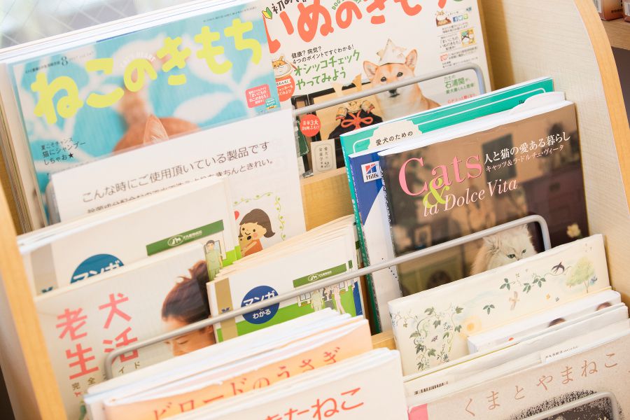 門司港どうぶつ病院_17