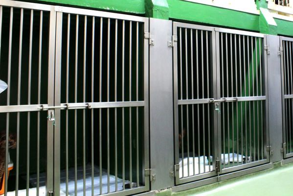 小林犬猫病院_1