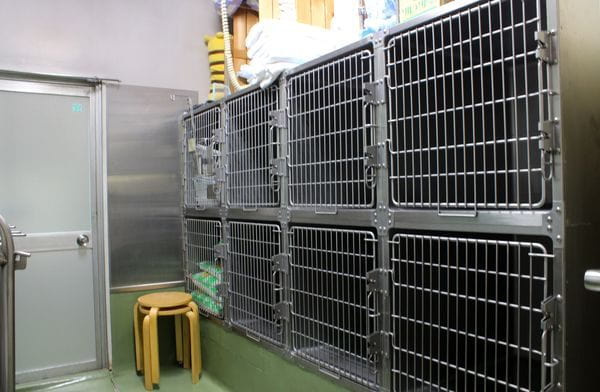 小林犬猫病院_2