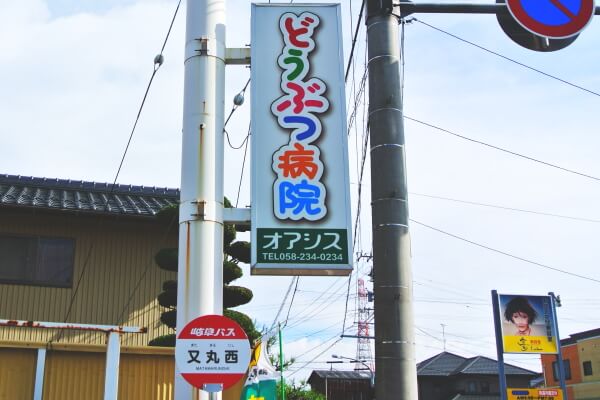 オアシス動物病院_7