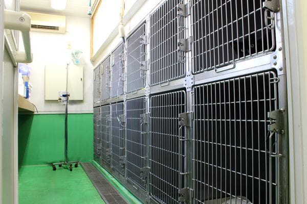 アライ動物病院_9