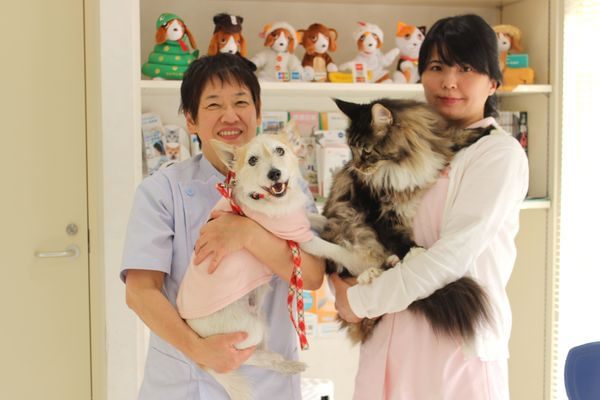アライ動物病院_11