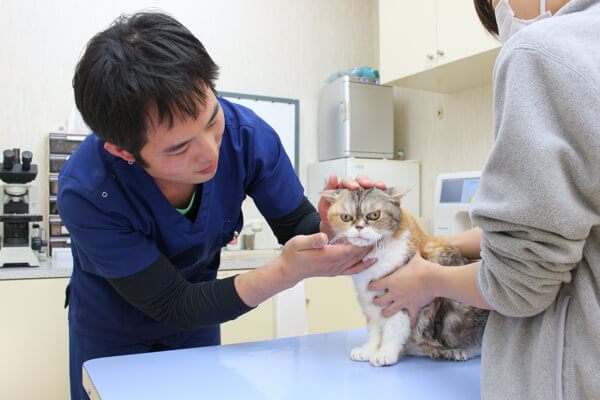 パスカル動物病院狭山_1