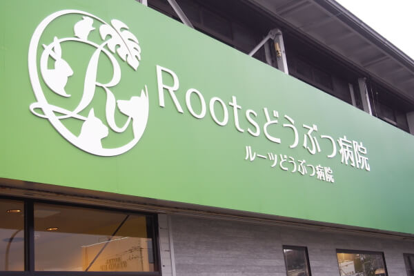 Rootsどうぶつ病院_6