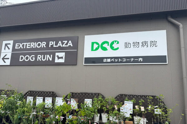 DCC動物病院 カインズ名古屋大高_7