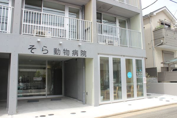 そら動物病院_1