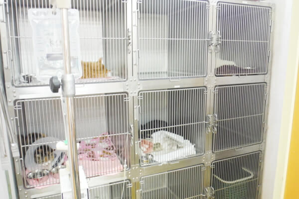 DCC動物病院 藤枝中央_7