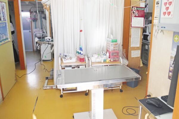 DCC動物病院 藤枝中央_8