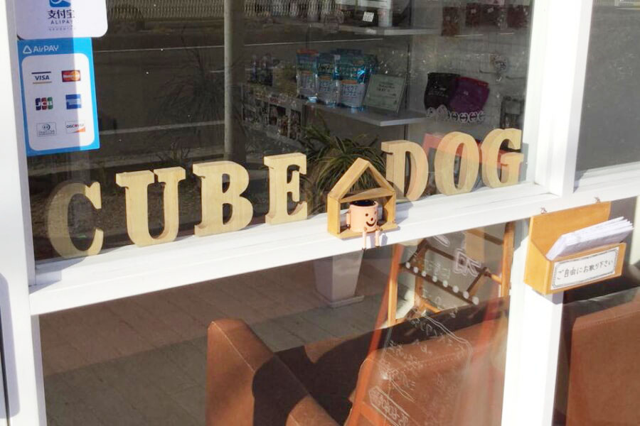 Cube dog_2