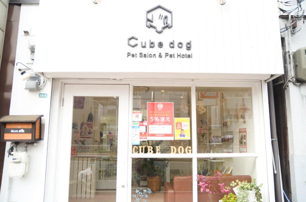Cube dog_4