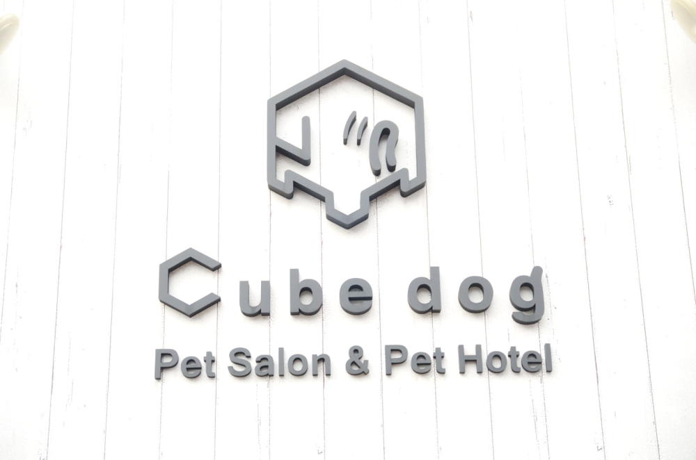 Cube dog