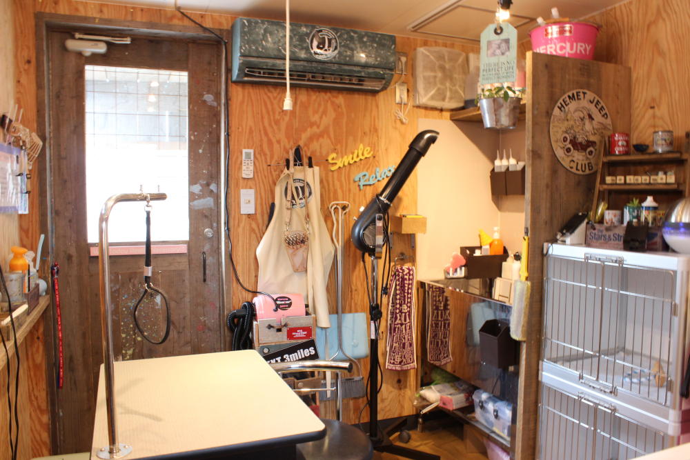 Dog salon ONE ROOM_4