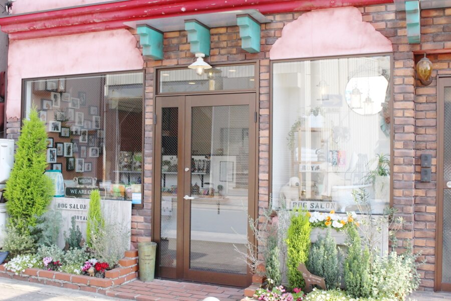 APRICOT TAIL Groomingstudio_こだわり_3