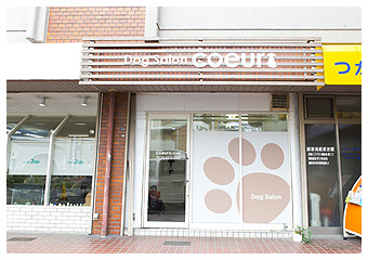 Dog salon coeur