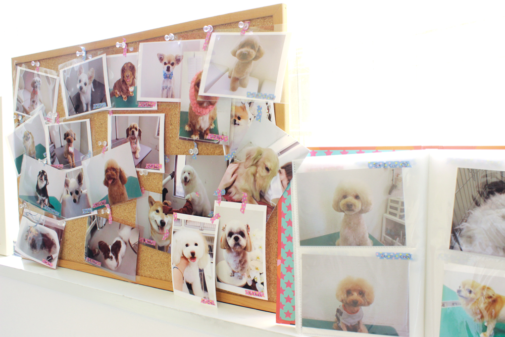 PET SALON ＆ HOTEL chere_2