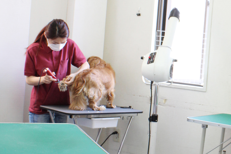 PET SALON ＆ HOTEL chere_3