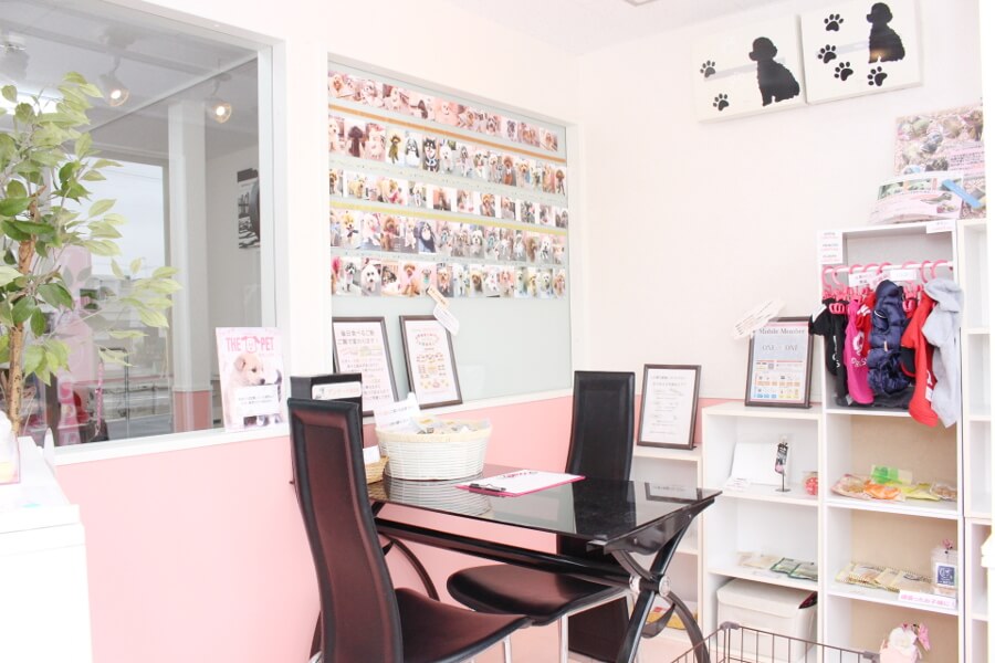 PETSALON ONE×ONE 狭山本店_3