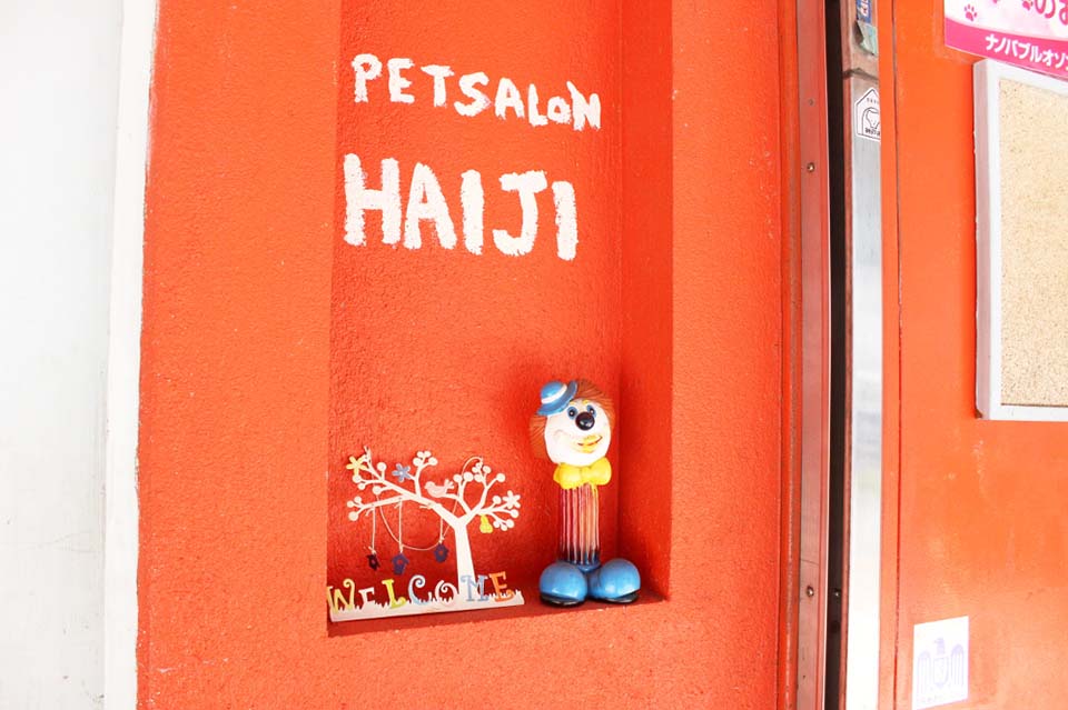 ペットサロン ハイジ 本店_2