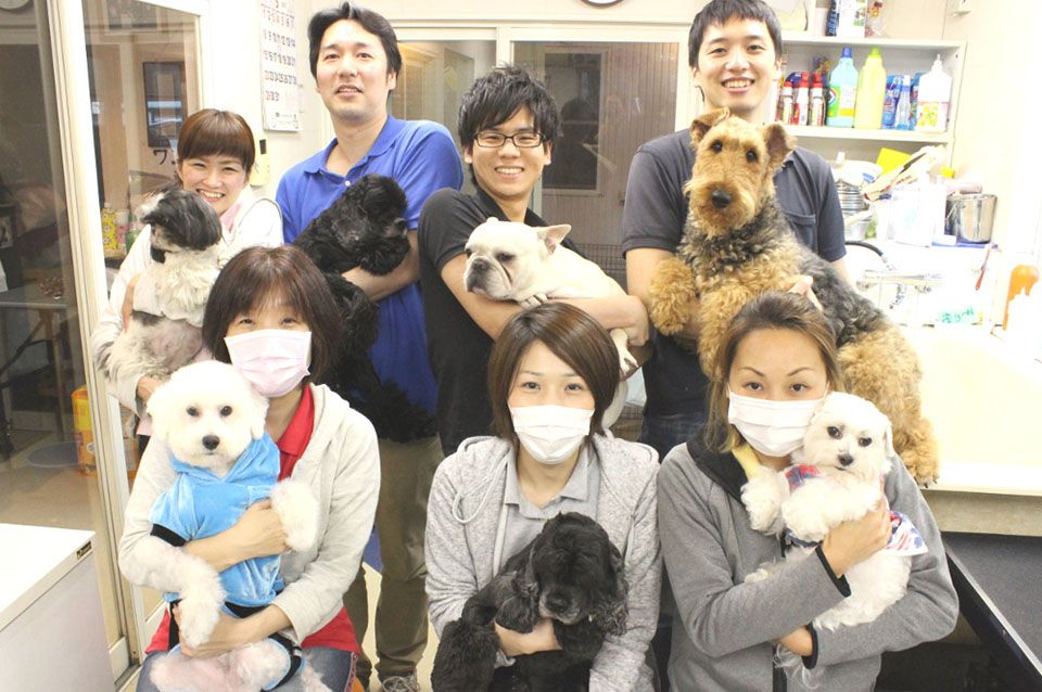 ネット予約可 いぬや 中村町店 横浜市南区吉野町駅 小型犬 中型犬 大型犬 トリミングサロン 口コミ 評判 Epark