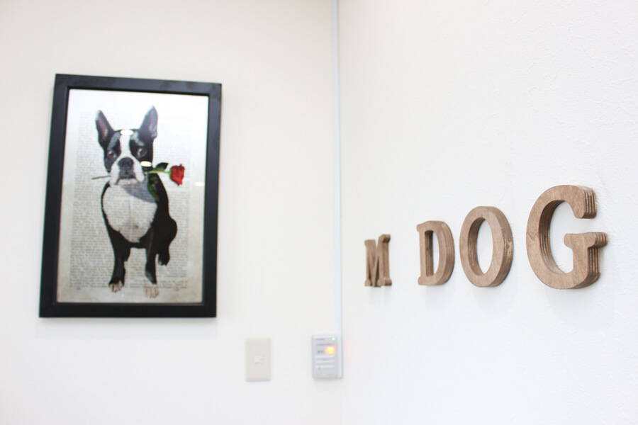 ペットサロン M DOG_2
