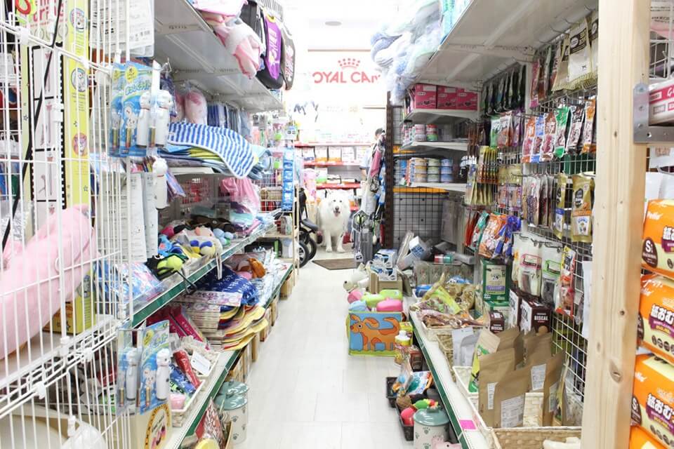 ペット用品専門店 どんぐり1号