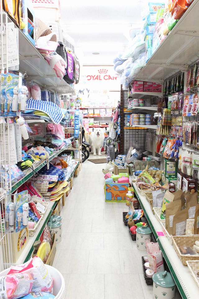 ペット用品専門店 どんぐり1号_2