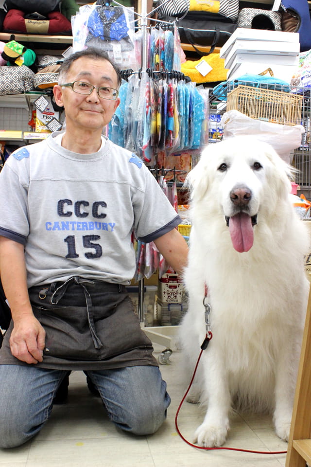 ペット用品専門店 どんぐり1号_3