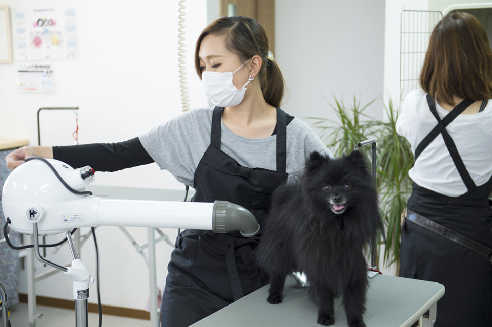 Dog サロン Qoo 泉佐野店_こだわり_1