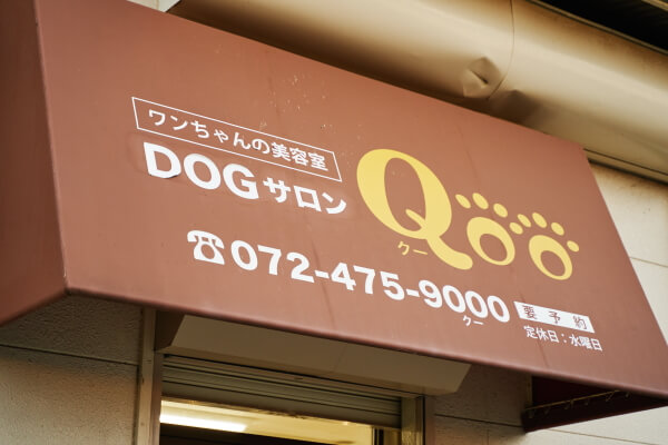Dog サロン Qoo 泉佐野店_1