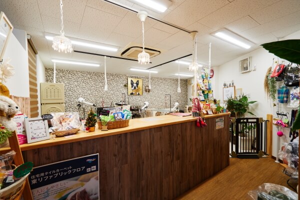 Dog サロン Qoo 泉佐野店_2